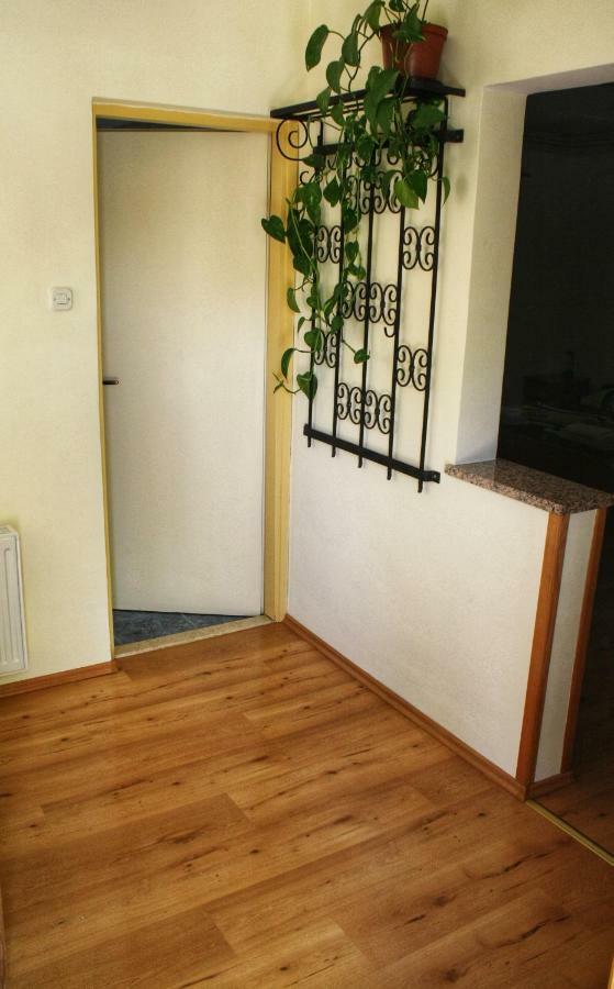 Apartments Vidos Dreznik Grad Luaran gambar
